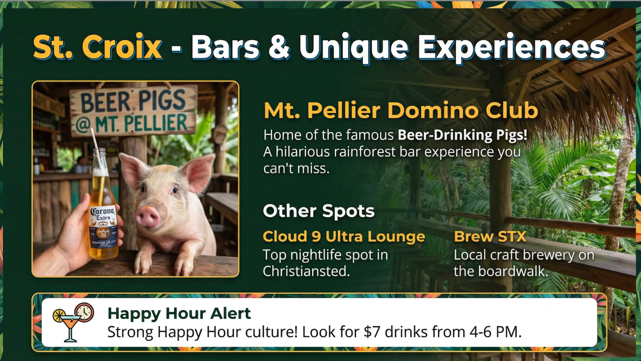Mt. Pellier Domino Club - Beer Drinking Pigs unique experience